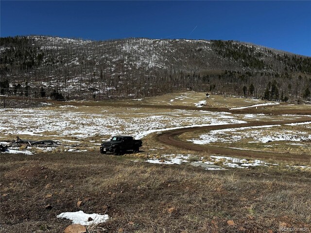 2332 Hayden Ln, Fort Garland, CO 81133 - photo 6