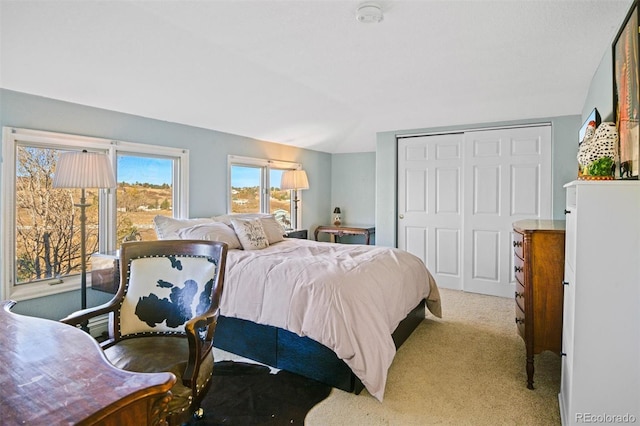 carpeted bedroom featuring a closet