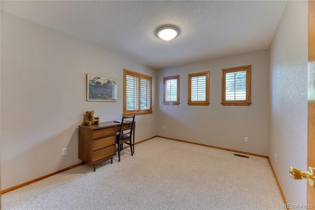761 Calgary Way, Golden, CO 80401 - photo 27