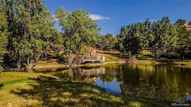 761 Calgary Way, Golden, CO 80401 - photo 34