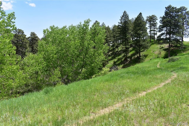 761 Calgary Way, Golden, CO 80401 - photo 40