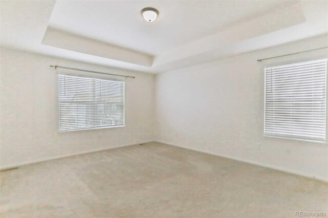 empty room featuring carpet flooring and a tray ceiling