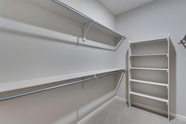 spacious closet with light colored carpet