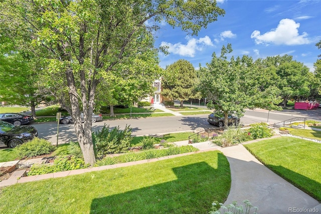 1208 S Elizabeth St, Denver, CO 80210 - view of community with a yard