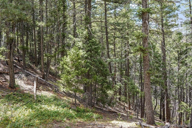 15947 S Perry Park Rd, Palmer Lake, CO 80133 - photo 8