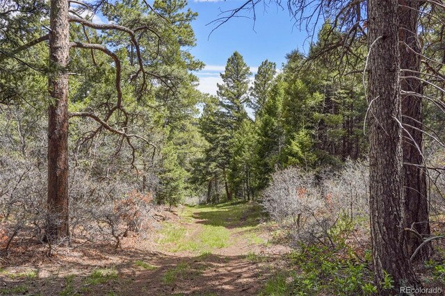 15947 S Perry Park Rd, Palmer Lake, CO 80133 - photo 10