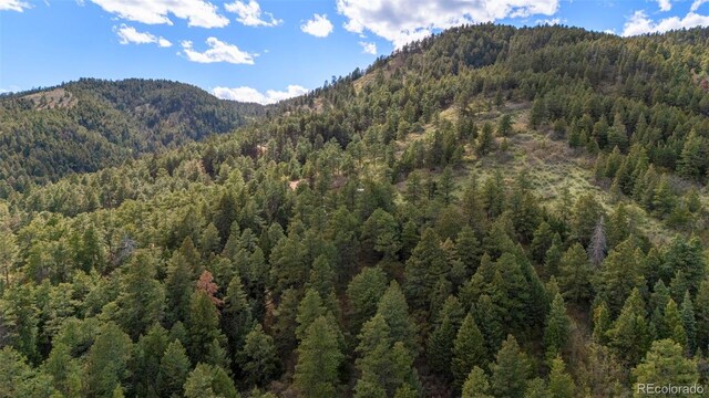 15947 S Perry Park Rd, Palmer Lake, CO 80133 - photo 11