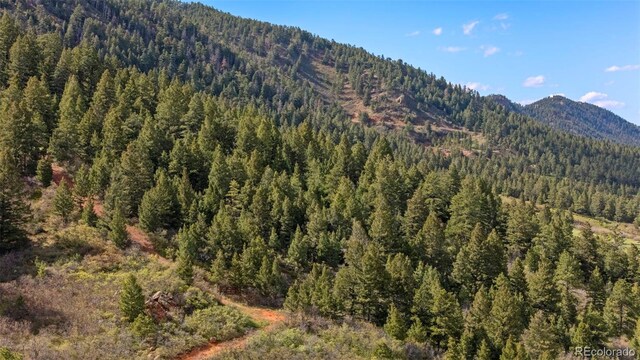 15947 S Perry Park Rd, Palmer Lake, CO 80133 - photo 38