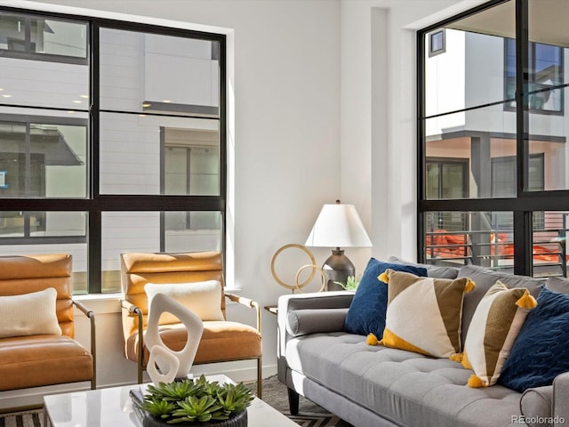 2050 S Holly St Unit 1, Denver, CO 80222 - living room with baseboards