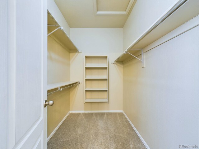 5211 Ferrari Dr, Colorado Springs, CO 80922 - photo 21