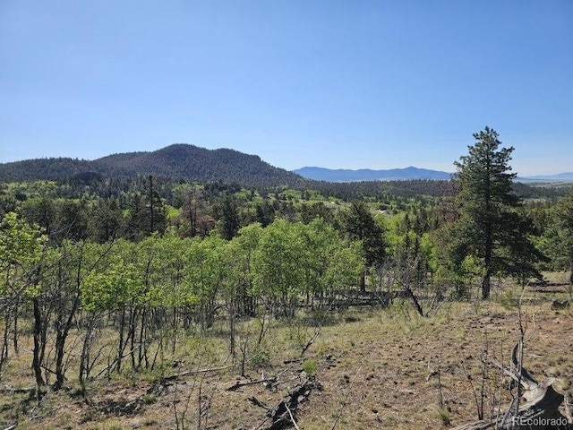 view of mountain feature