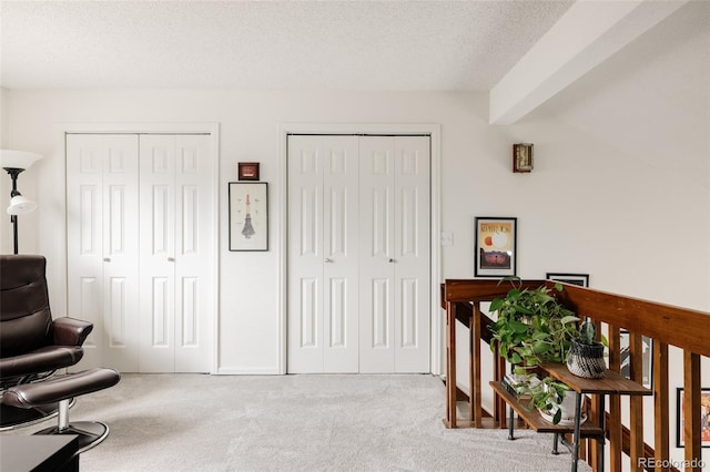 3026 W Prentice Ave Unit H, Littleton, CO 80123 - sitting room featuring carpet flooring and a textured ceiling