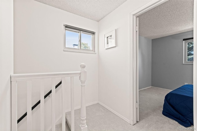 interior space featuring plenty of natural light, light colored carpet, and a textured ceiling