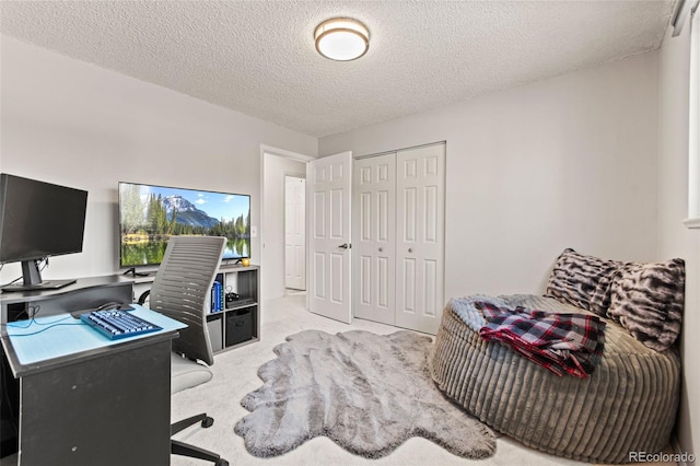 carpeted office space with a textured ceiling