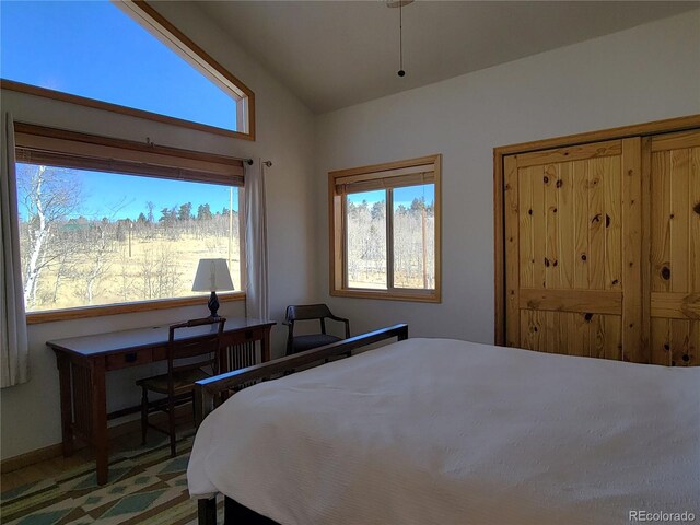 bedroom with vaulted ceiling