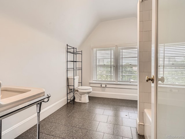 1453 Vine St, Denver, CO 80206 - bathroom with baseboards, plenty of natural light, toilet, vaulted ceiling, and granite floors