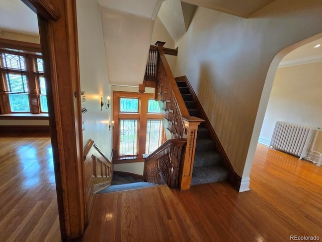 1453 Vine St, Denver, CO 80206 - staircase with wood finished floors, arched walkways, and crown molding