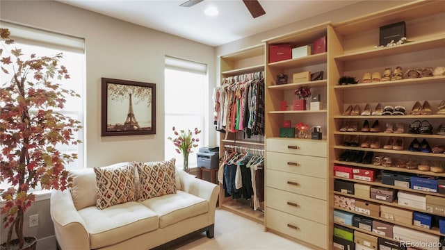 spacious closet featuring ceiling fan and light carpet