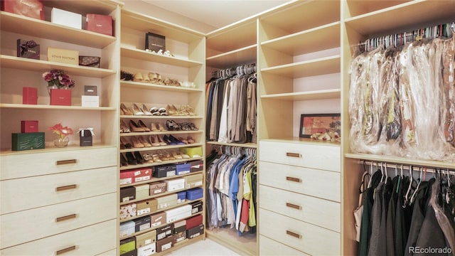 view of spacious closet