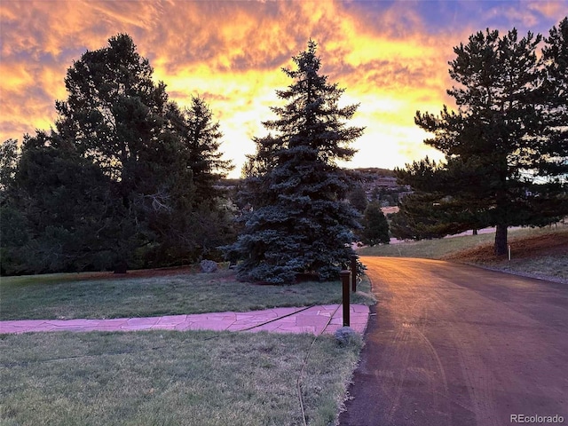 6227 Colorow Dr, Morrison, CO 80465 - view of home's community featuring a yard