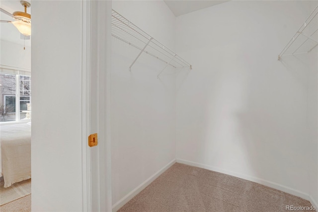 walk in closet featuring light colored carpet and ceiling fan