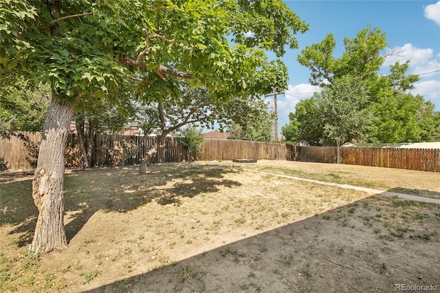 10453 Washington Way, Northglenn, CO 80233 - photo 25