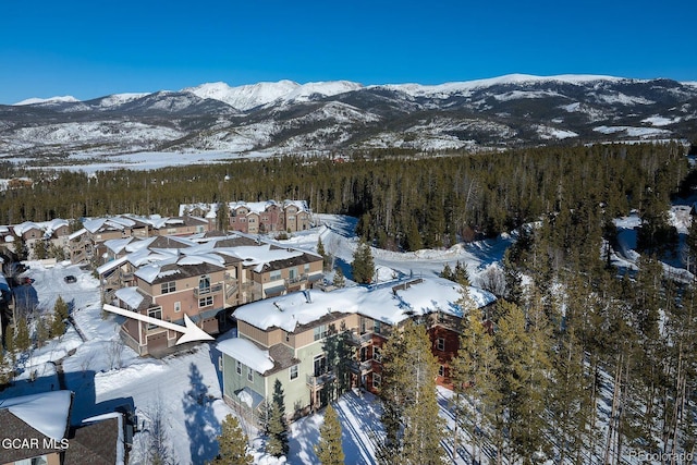 400 County Road 8342 Unit 2, Fraser, CO 80442 - photo 30