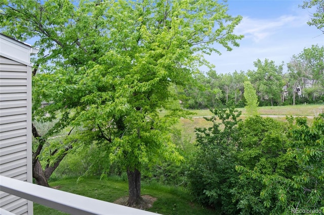 4262 E Maplewood Way, Centennial, CO 80121 - view of yard