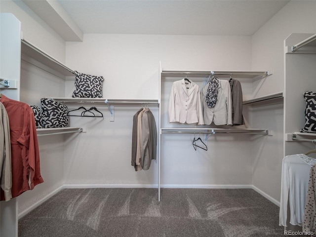 spacious closet featuring carpet flooring