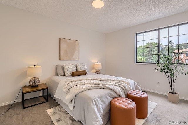 1005 E 5th Ave, Longmont, CO 80504 - photo 19