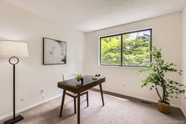 1005 E 5th Ave, Longmont, CO 80504 - photo 20