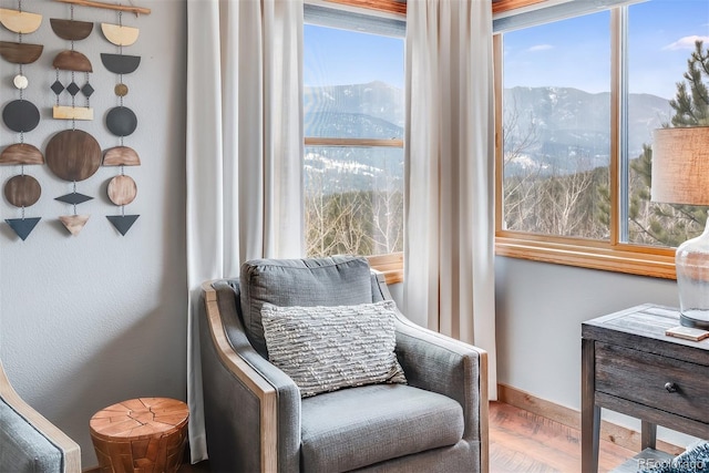 288 Spring Vly, Bailey, CO 80421 - living area with wood finished floors and a mountain view