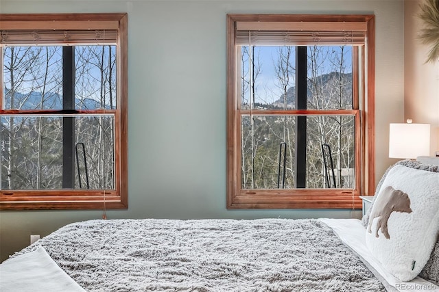 288 Spring Vly, Bailey, CO 80421 - view of bedroom