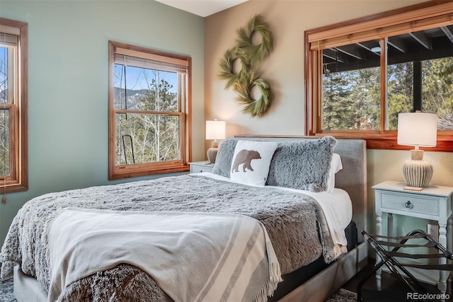 288 Spring Vly, Bailey, CO 80421 - view of bedroom