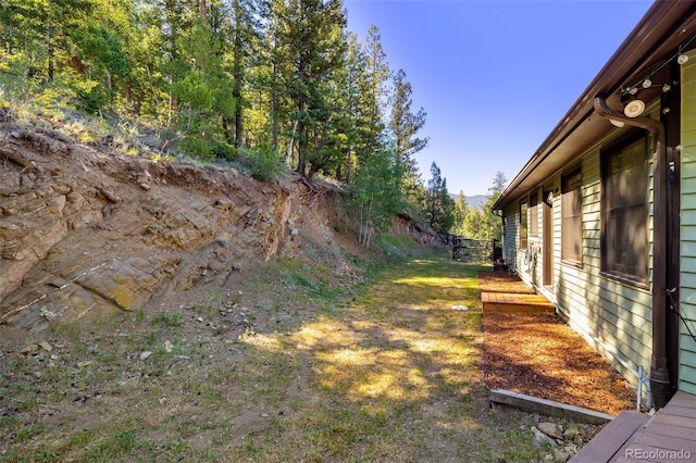 288 Spring Vly, Bailey, CO 80421 - view of yard