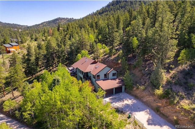 288 Spring Vly, Bailey, CO 80421 - photo 48