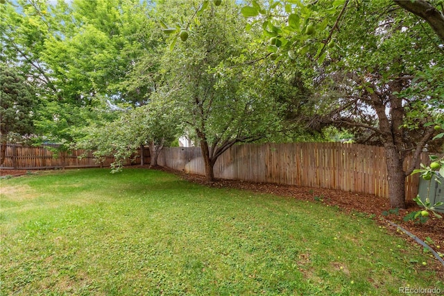 6214 S Kenton Way, Englewood, CO 80111 - photo 35