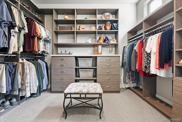 view of walk in closet
