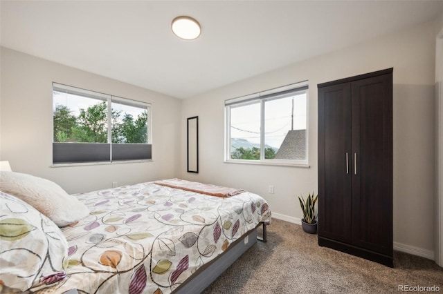 carpeted bedroom with multiple windows