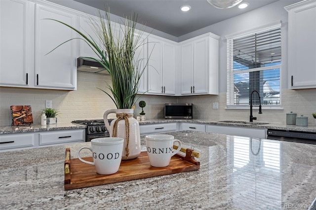 kitchen featuring white cabinets, light stone counters, and sink