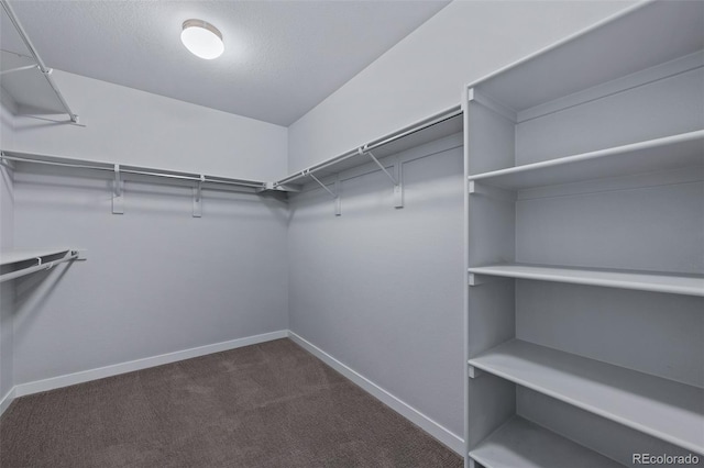 spacious closet with dark colored carpet