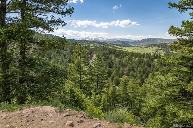 1546 Chute Rd, Golden, CO 80403 - photo 2