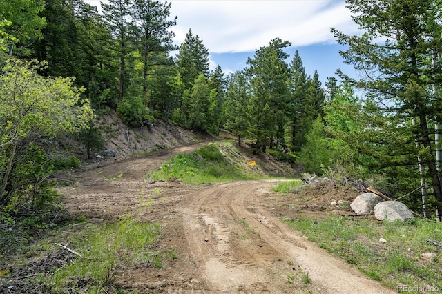1546 Chute Rd, Golden, CO 80403 - photo 3