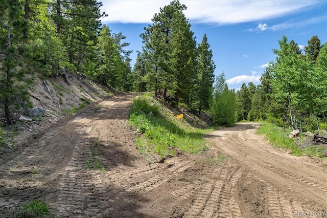 1546 Chute Rd, Golden, CO 80403 - photo 4
