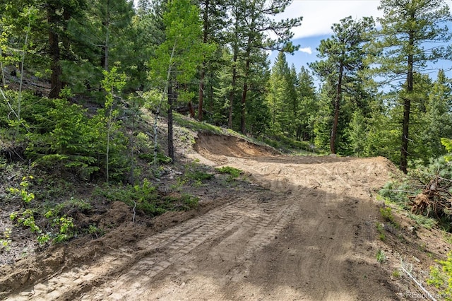 1546 Chute Rd, Golden, CO 80403 - photo 5