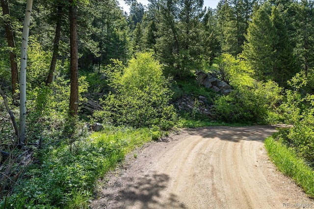 1546 Chute Rd, Golden, CO 80403 - photo 7