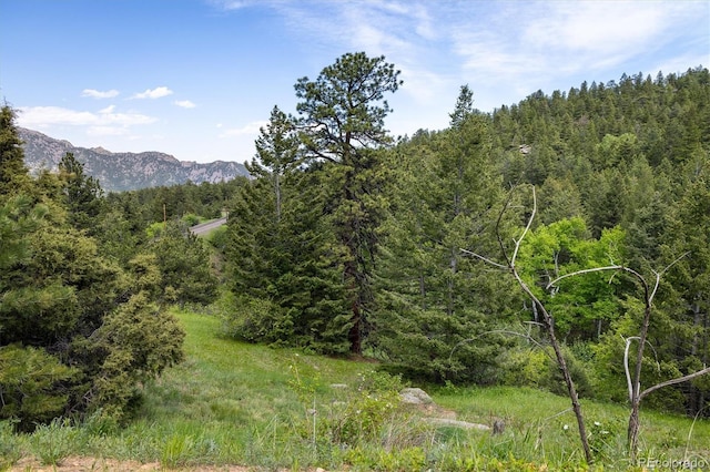1546 Chute Rd, Golden, CO 80403 - photo 8