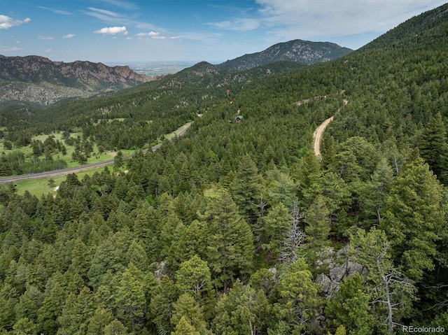 1546 Chute Rd, Golden, CO 80403 - photo 9