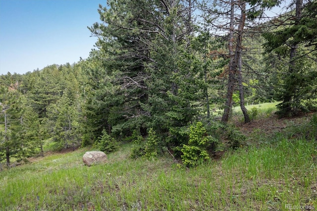 1546 Chute Rd, Golden, CO 80403 - photo 11