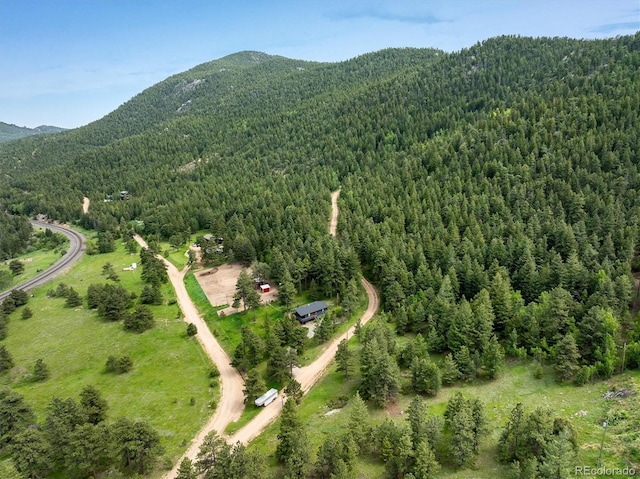 1546 Chute Rd, Golden, CO 80403 - photo 12